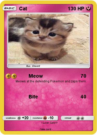 Pokemon Cat
