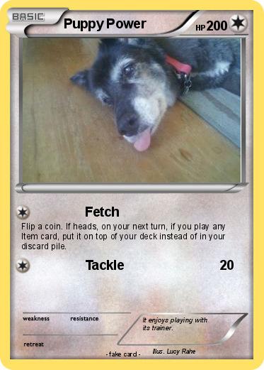 Pokemon Puppy Power