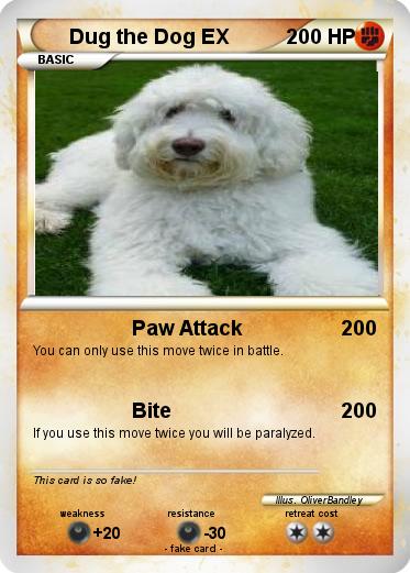 Pokemon Dug the Dog EX