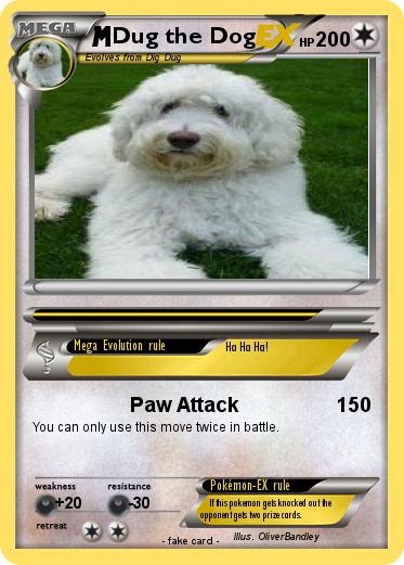 Pokemon Dug the Dog