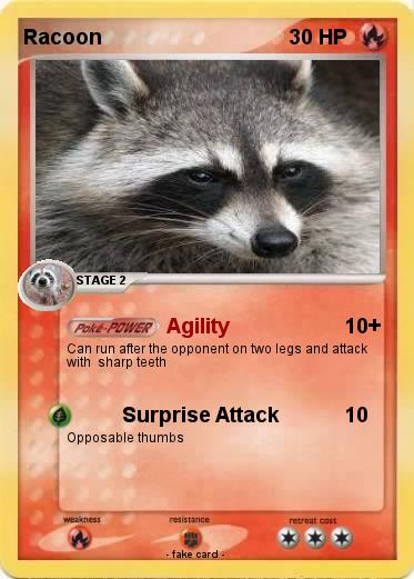 Pokemon Racoon