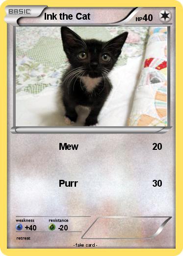 Pokemon Ink the Cat