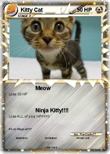 Pokemon Kitty Cat