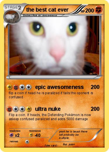 Pokemon the best cat ever