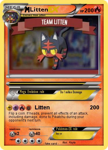 Pokemon Litten