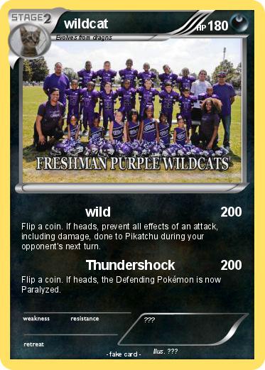 Pokemon wildcat