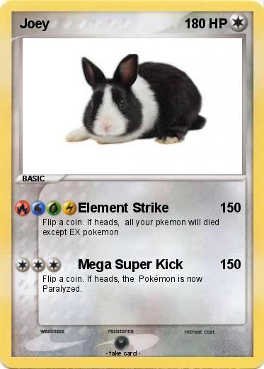 Pokemon Joey