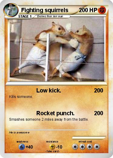 Pokemon Fighting squirrels