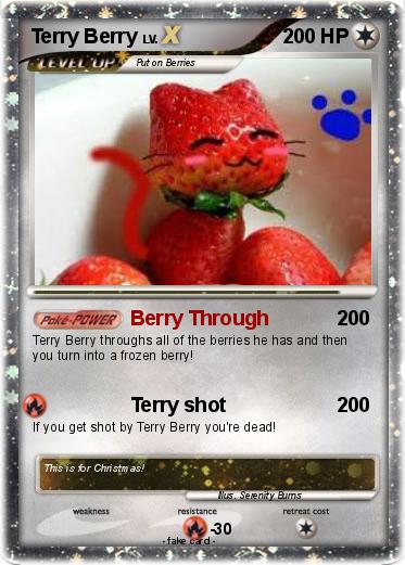 Pokemon Terry Berry