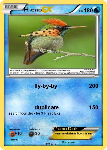 Pokemon H.eao