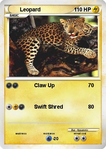 Pokemon Leopard