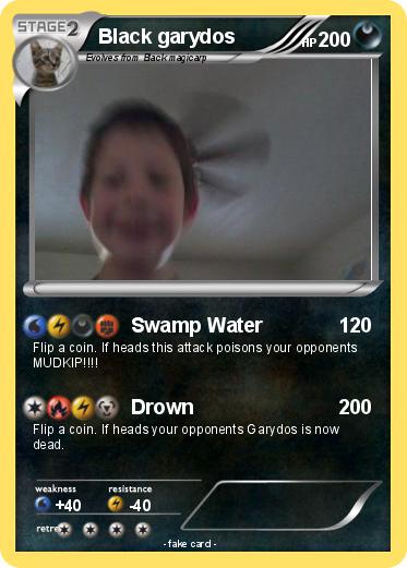 Pokemon Black garydos