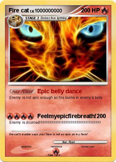 Pokemon Fire cat