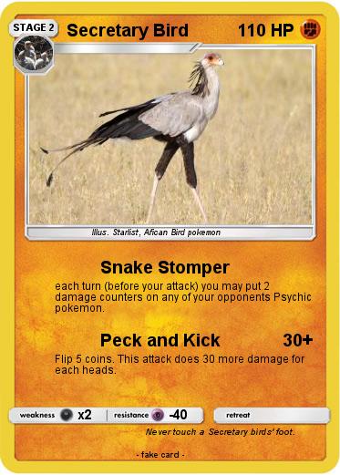 Pokemon Secretary Bird Pokemon Secretary Bird