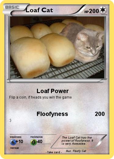 Pokemon Loaf Cat