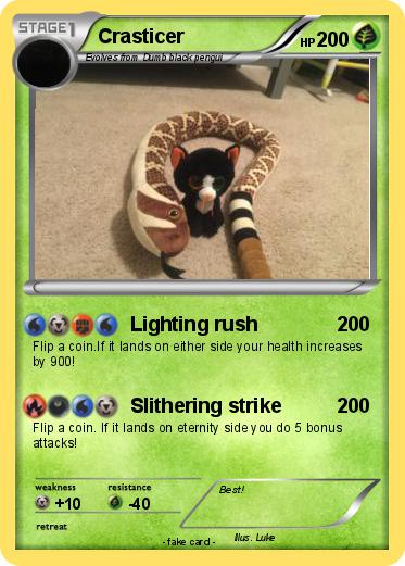 Pokemon Crasticer