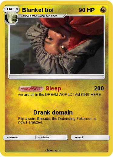 Pokemon Blanket boi