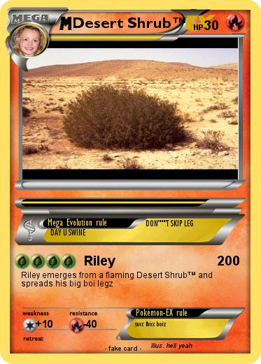 Pokemon Desert Shrub™