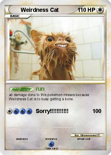 Pokemon Weirdness Cat