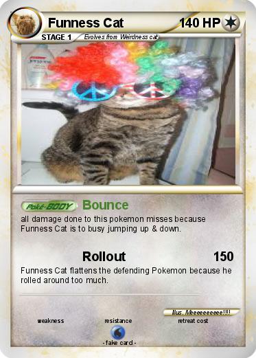 Pokemon Funness Cat