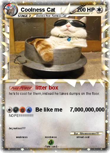 Pokemon Coolness Cat