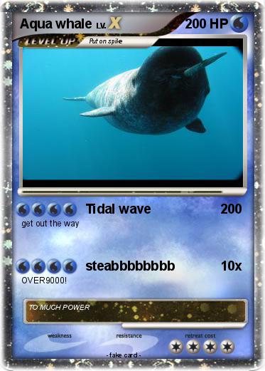 Pokemon Aqua whale