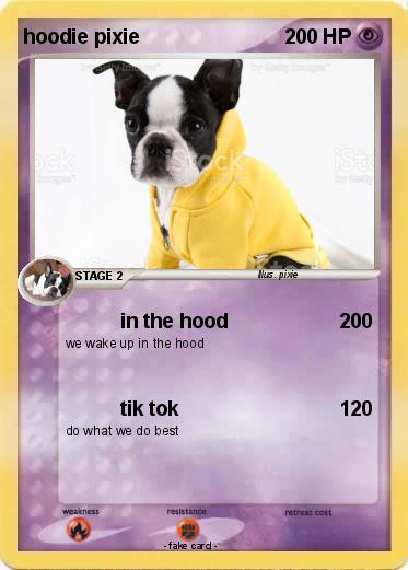 Pokemon hoodie pixie