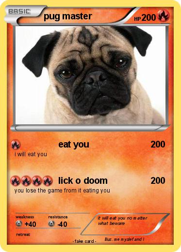Pokemon pug master