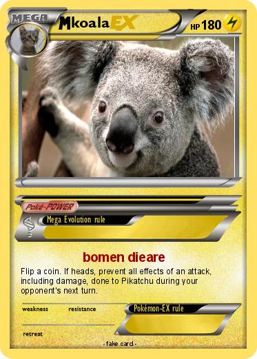Pokemon koala