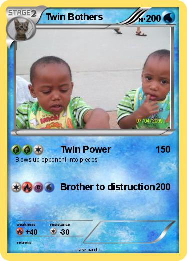 Pokemon Twin Bothers