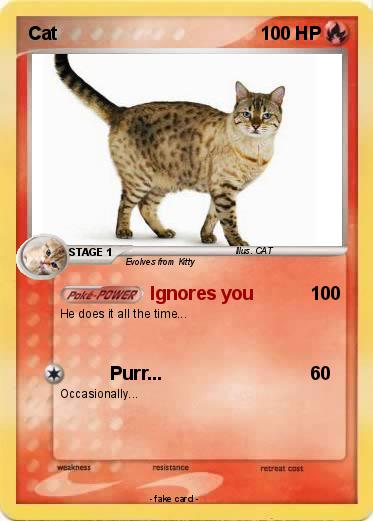 Pokemon Cat
