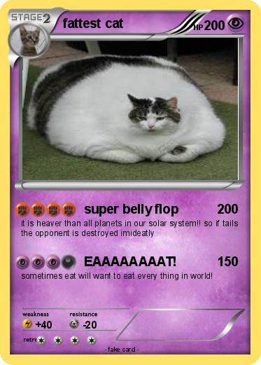 Pokemon fattest cat