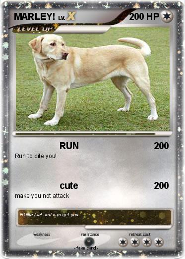 Pokemon MARLEY!