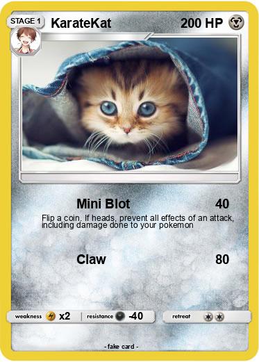 Pokemon KarateKat