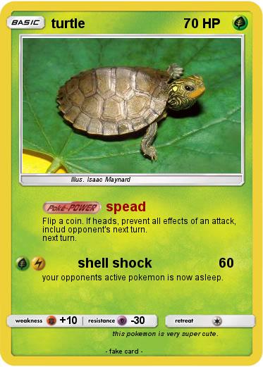 Pokemon turtle