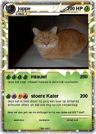 Pokemon joppe