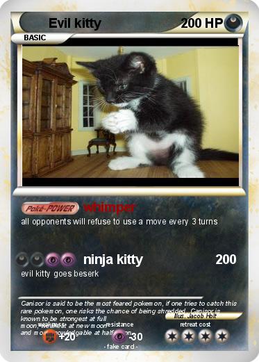 Pokemon Evil kitty