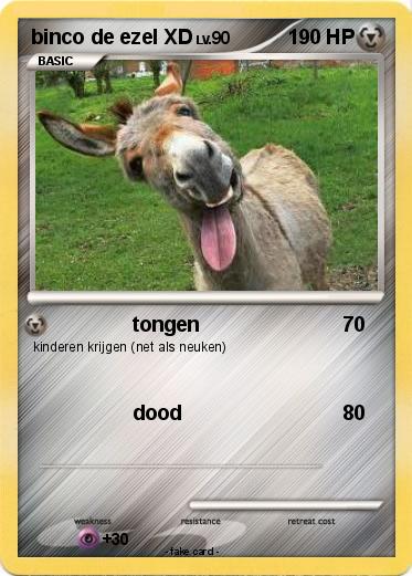 Pokemon binco de ezel XD