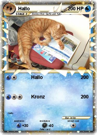 Pokemon Hallo