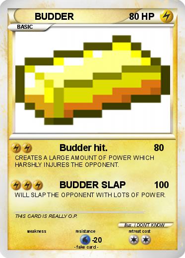 Pokemon BUDDER