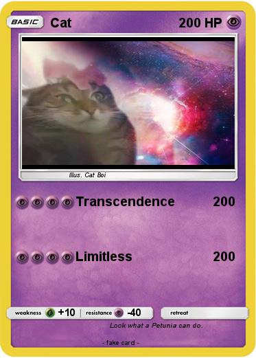 Pokemon Cat
