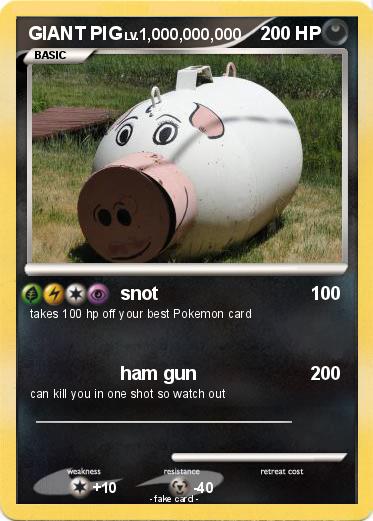 Pokemon GIANT PIG