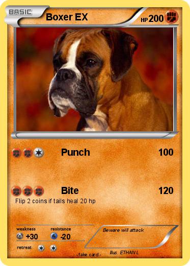 Pokemon Boxer EX