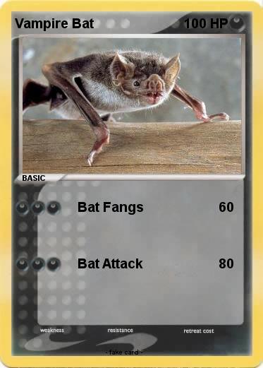 Pokemon Vampire Bat