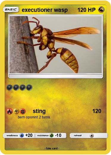 Pokemon executioner wasp