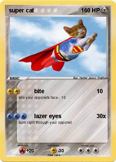 Pokemon super cat