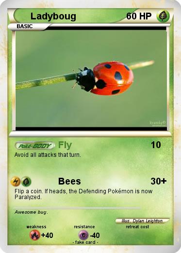 Pokemon Ladyboug