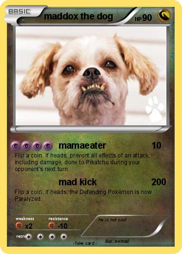 Pokemon maddox the dog