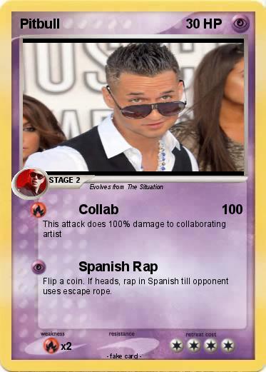 Pokemon Pitbull
