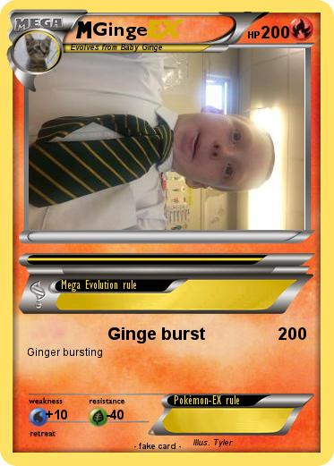 Pokemon Ginge